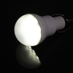 Portable Solar Power LED Bulb Lamp